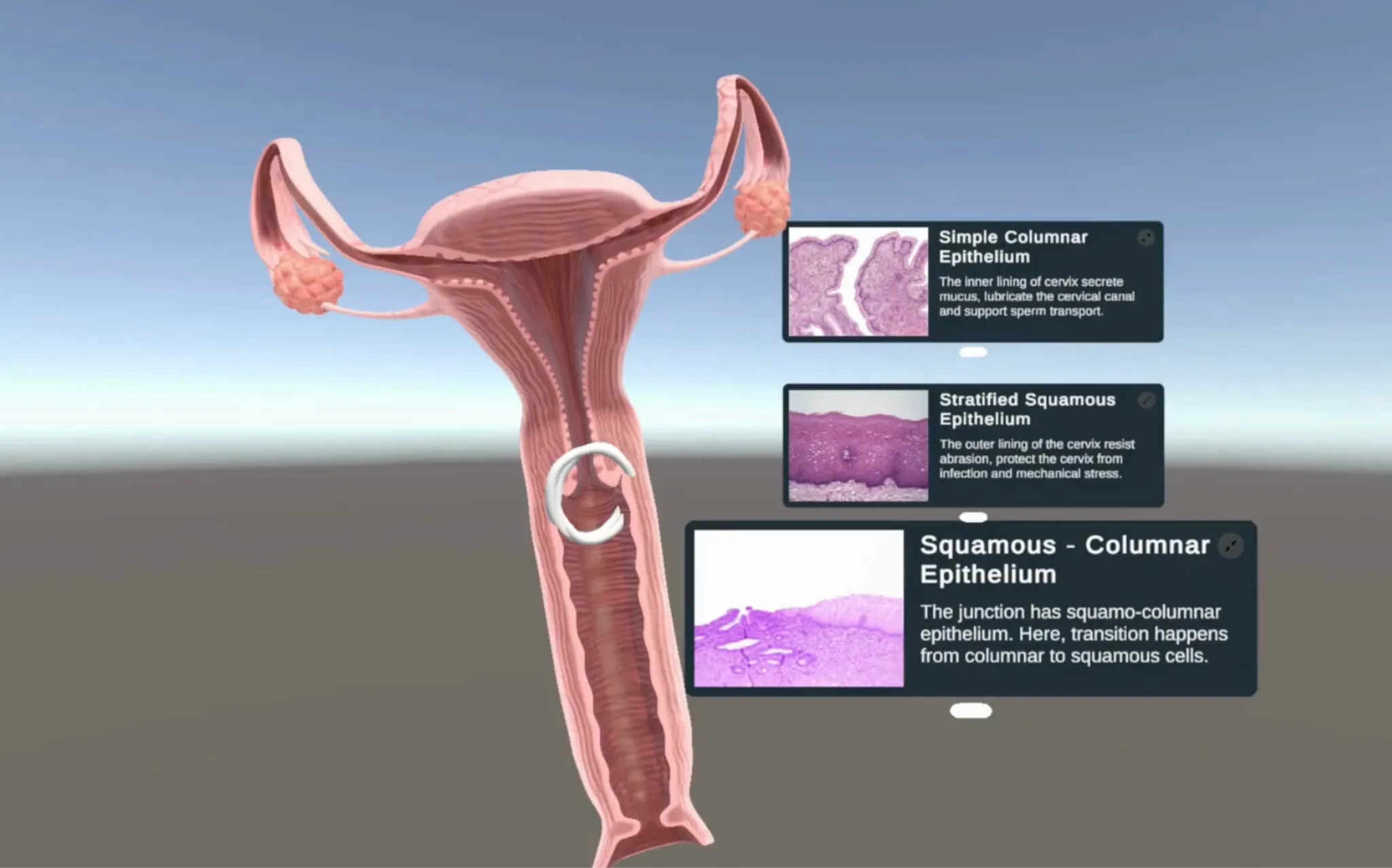 OXR · 3D lecture